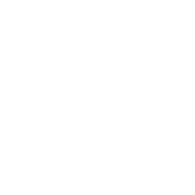 Saywack Holdings LLC